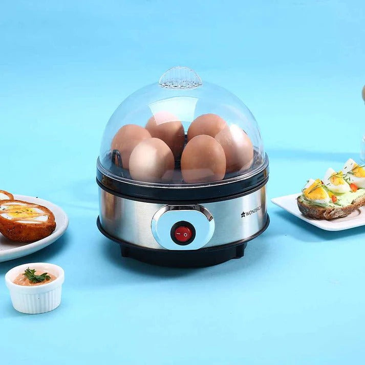 DSP Professional Egg Boiler