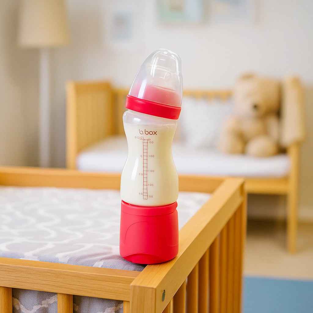b box Feeder with Dispender | 240 ML