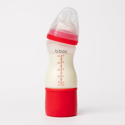 b box Feeder with Dispender | 240 ML